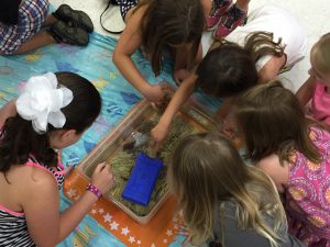 Kids' couldn't get enough of "Tidepools Alive" when the New England Aquarium came to visit the South Branch. 